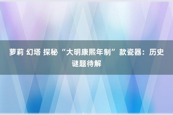 萝莉 幻塔 探秘 “大明康熙年制” 款瓷器：历史谜题待解