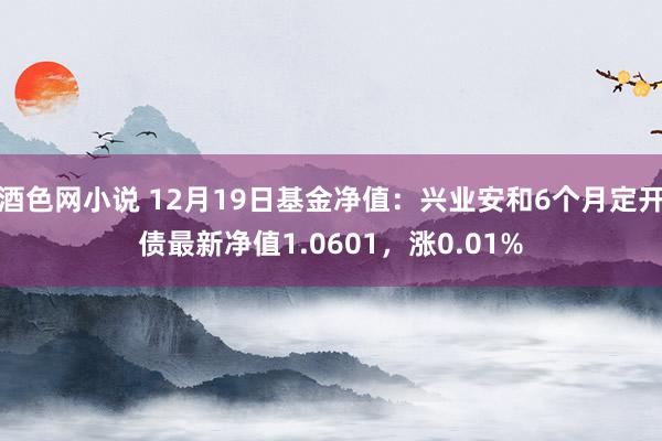 酒色网小说 12月19日基金净值：兴业安和6个月定开债最新净值1.0601，涨0.01%