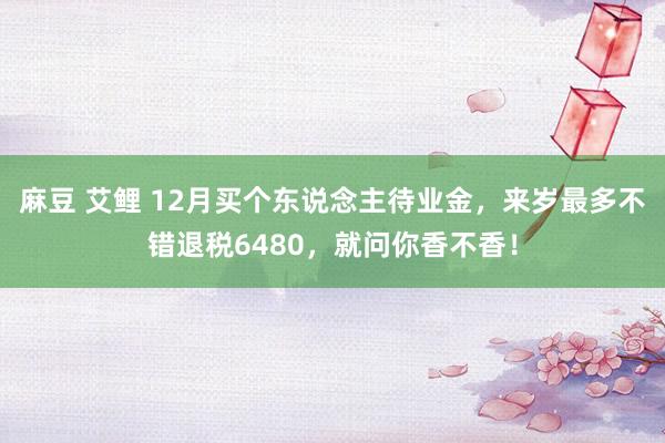 麻豆 艾鲤 12月买个东说念主待业金，来岁最多不错退税6480，就问你香不香！