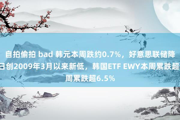 自拍偷拍 bad 韩元本周跌约0.7%，好意思联储降息次日创2009年3月以来新低，韩国ETF EWY本周累跌超6.5%