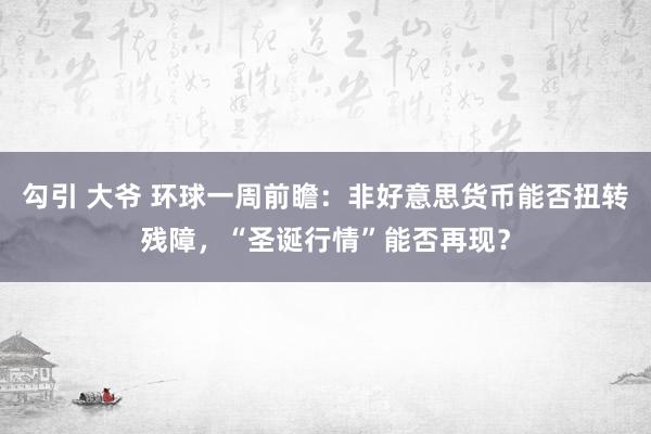 勾引 大爷 环球一周前瞻：非好意思货币能否扭转残障，“圣诞行情”能否再现？