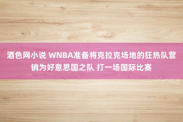 酒色网小说 WNBA准备将克拉克场地的狂热队营销为好意思国之队 打一场国际比赛