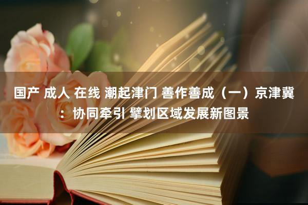 国产 成人 在线 潮起津门 善作善成（一）京津冀：协同牵引 擘划区域发展新图景