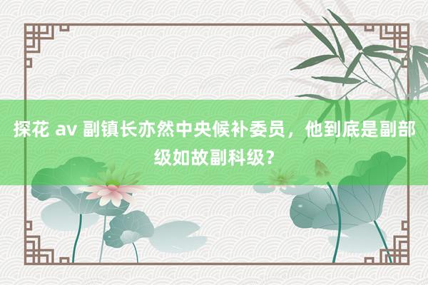 探花 av 副镇长亦然中央候补委员，他到底是副部级如故副科级？