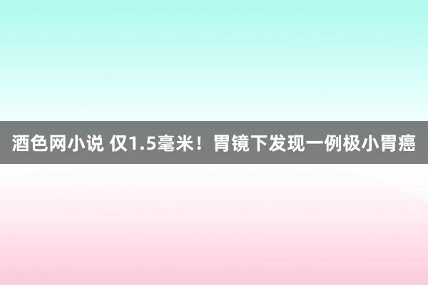 酒色网小说 仅1.5毫米！胃镜下发现一例极小胃癌