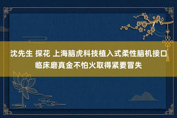 沈先生 探花 上海脑虎科技植入式柔性脑机接口临床磨真金不怕火取得紧要冒失