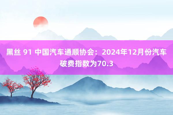 黑丝 91 中国汽车通顺协会：2024年12月份汽车破费指数为70.3