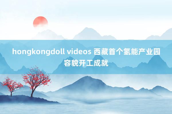 hongkongdoll videos 西藏首个氢能产业园容貌开工成就