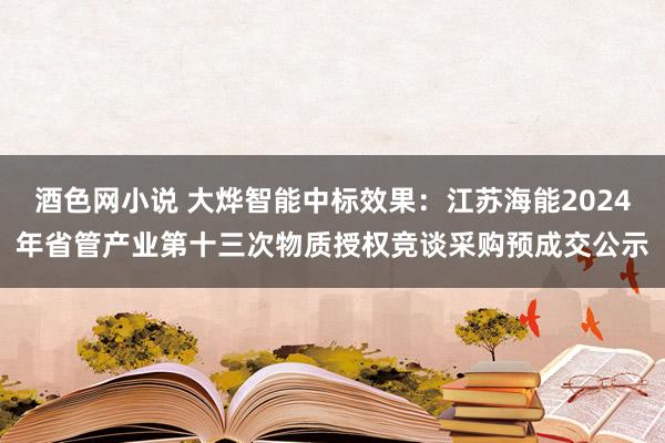 酒色网小说 大烨智能中标效果：江苏海能2024年省管产业第十三次物质授权竞谈采购预成交公示