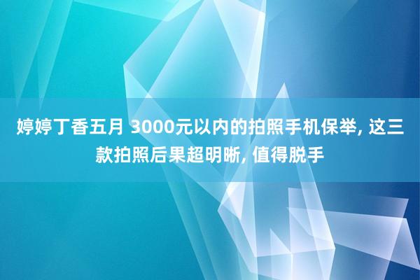 婷婷丁香五月 3000元以内的拍照手机保举， 这三款拍照后果超明晰， 值得脱手