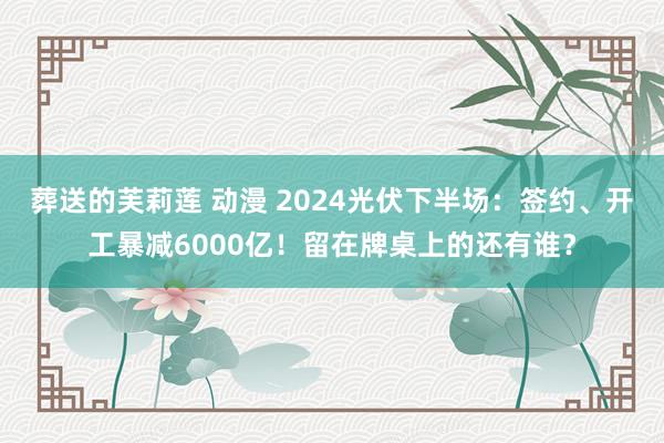 葬送的芙莉莲 动漫 2024光伏下半场：签约、开工暴减6000亿！留在牌桌上的还有谁？