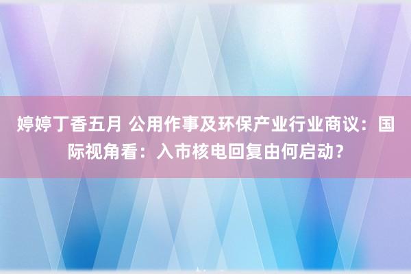 婷婷丁香五月 公用作事及环保产业行业商议：国际视角看：入市核电回复由何启动？