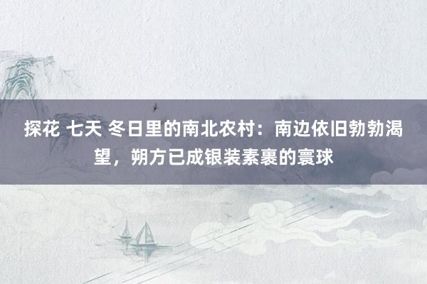 探花 七天 冬日里的南北农村：南边依旧勃勃渴望，朔方已成银装素裹的寰球