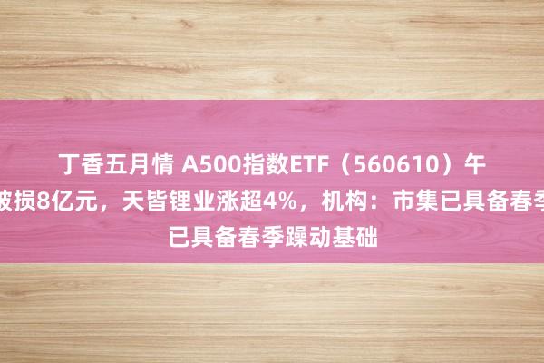 丁香五月情 A500指数ETF（560610）午后成交额破损8亿元，天皆锂业涨超4%，机构：市集已具备春季躁动基础