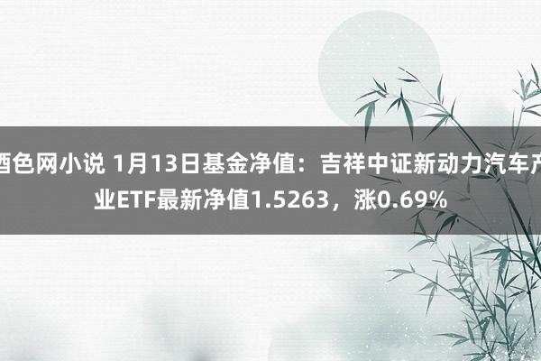 酒色网小说 1月13日基金净值：吉祥中证新动力汽车产业ETF最新净值1.5263，涨0.69%