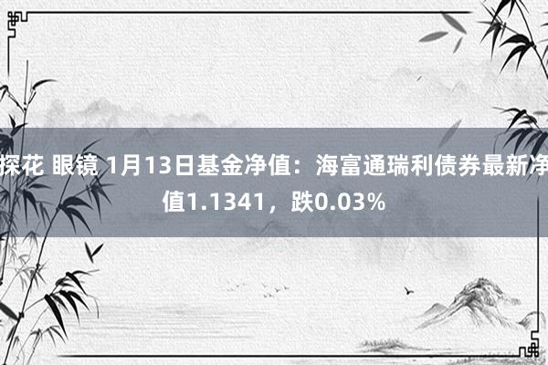 探花 眼镜 1月13日基金净值：海富通瑞利债券最新净值1.1341，跌0.03%