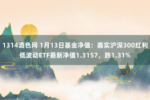 1314酒色网 1月13日基金净值：嘉实沪深300红利低波动ETF最新净值1.3157，跌1.31%