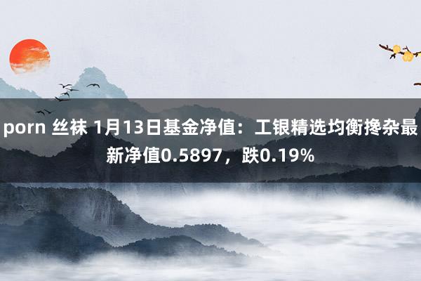 porn 丝袜 1月13日基金净值：工银精选均衡搀杂最新净值0.5897，跌0.19%