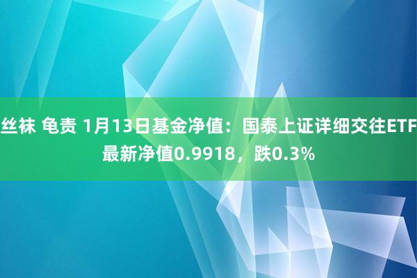 丝袜 龟责 1月13日基金净值：国泰上证详细交往ETF最新净值0.9918，跌0.3%