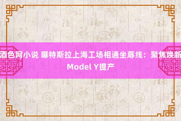 酒色网小说 曝特斯拉上海工场相通坐蓐线：聚焦焕新Model Y提产